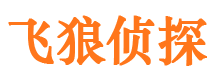 河源市侦探公司